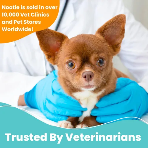 Miniatura 7 de Nootie - Toallitas medicadas para perros, toallitas para mascotas con clorhexidina y miconazol para perros y gatos - Toallitas pequeñas de 2", 60