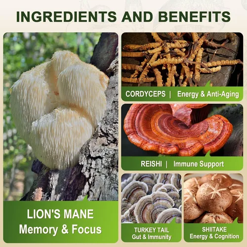 Miniatura 5 de ZEBORA Cápsulas de suplemento de melena de leones, suplemento de hongos 5 en 1 con Cordyceps, Reishi y cola de pavo, cuerpo fructífero para memoria