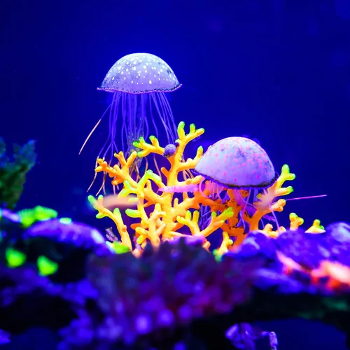 Miniatura 6 de VOCOSTE Decoración de medusas para pecera, medusas fluorescentes de silicona, adornos de acuario con ventosa, azul, 2.3 x 5.9 pulgadas
