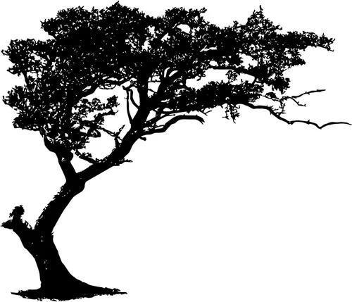 Miniatura 5 de Calcomanía de pared para sombra de árbol de 6 pies de alto (color negro) 72 pulgadas de alto x 85 pulgadas de ancho. (inclinado a la izquierda)