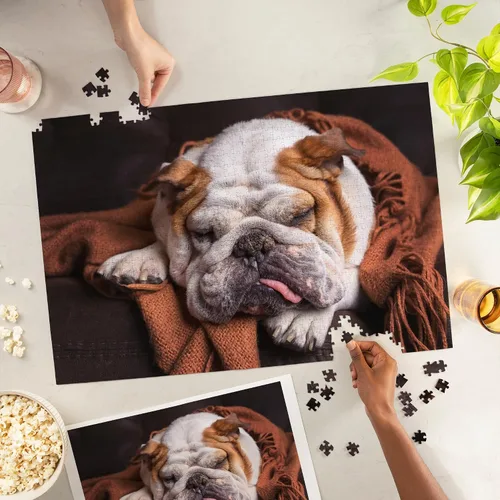 Miniatura 3 de Rompecabezas de Bulldog Inglés de 1000 piezas – Bulldog durmiendo en el sofá, rompecabezas para adultos, lindo rompecabezas de perro, fabricado