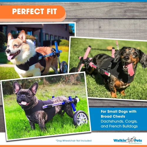 Miniatura 3 de Arnés delantero para perro Arnés sin tirones Diseñado para perros pequeños con pechos anchos Compatible con silla de ruedas para perros
