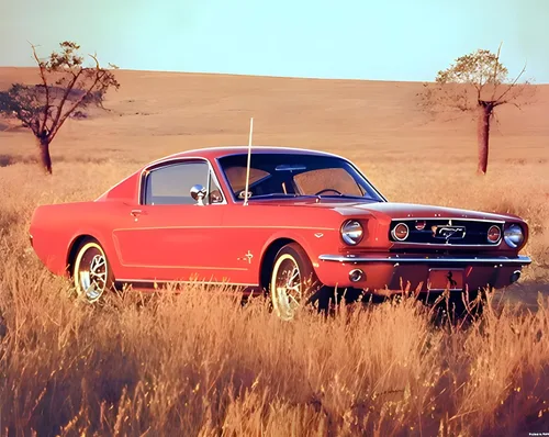 Impact Posters Gallery Póster decorativo de pared de coche vintage 1965 rojo Ford Mustang Fastback (16 x 20 pulgadas)