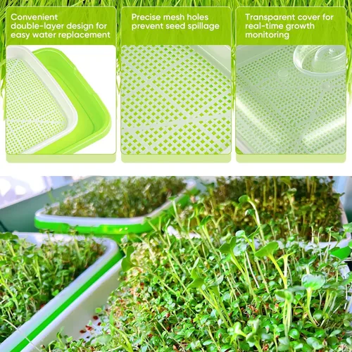 Miniatura 4 de Paquete de 6 bandejas de germinación de semillas verdes con tapa, bandeja de germinación de cultivo sin tierra, bandeja de vivero con papel