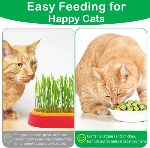 Miniatura 7 de ISUNRISE Golosinas de hierba para gatos, aceite de pescado para gatos de interior, control de bolas de pelo y limpieza de dientes, comestible