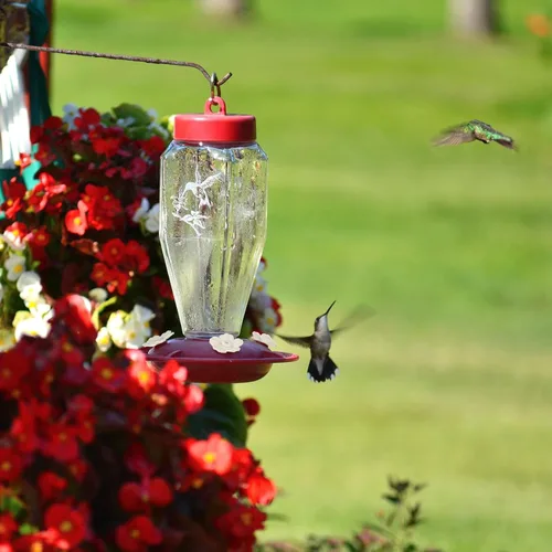 Miniatura 5 de Estink Flores de repuesto para comedero de colibríes, 30 juegos de cubiertas de puerto de alimentación multicolor para comederos de colibríes, atrae