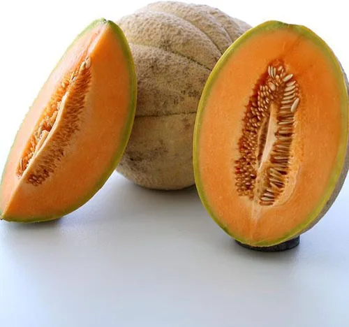 Semillas de melón Toscana - 0.04 oz ~ 35 Semillas - Semillas reliquia, polinizada abierta, sin OMG, semillas de jardinería agrícola y vegetal/fruta