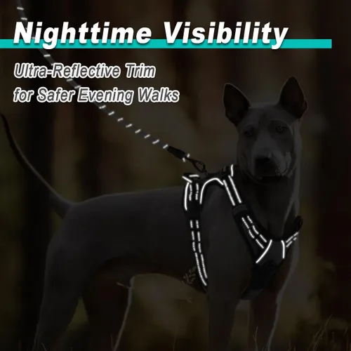 Miniatura 5 de BARKBAY Arnés para perro sin tirones para perros medianos, ajustable, reflectante, cómodo, sin estrangulamiento, resistente - perfecto para Gris