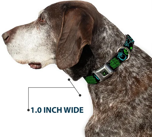 Miniatura 6 de Buckle-Down Monsters Inc. Sully & Mike Poses/GRRRRR! - Collar de perro con hebilla para cinturón de seguridad, negro, turquesa, verde, 1 pulgada