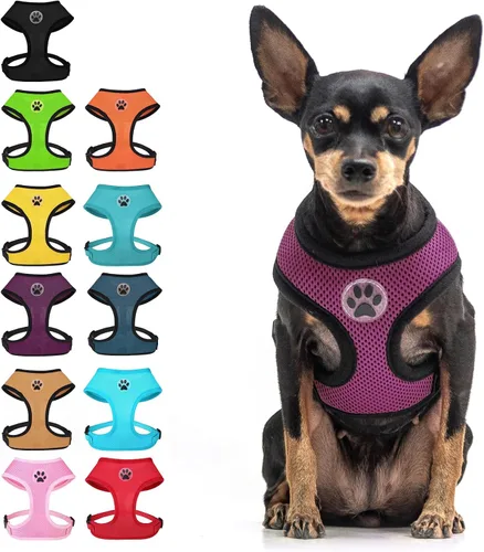Miniatura 12 de BINGPET Arnés para perro sin tirones, arnés de chaleco tipo step-in de malla para todo clima para perros pequeños, arnés de malla transpirable