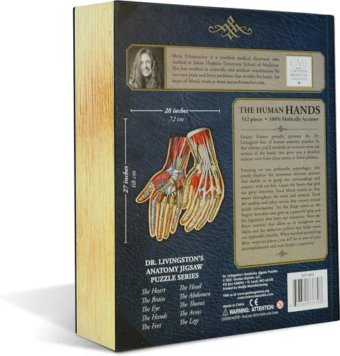 Miniatura 4 de Rompecabezas de anatomía de manos humanas del Dr. Livingston, un rompecabezas de manos médicamente preciso, juguete educativo y atractivo sobre