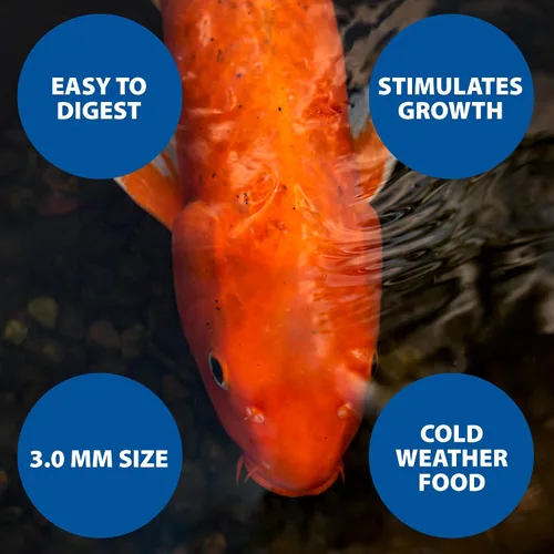 Miniatura 7 de The Pond Guy Spring & Fall - Alimento para peces con germen de trigo para Koi y Goldfish, pellets flotantes prémium para clima frío, fórmula