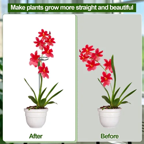 Miniatura 2 de Mwellewm Juego de 6 estacas para plantas de 12/25/36 pulgadas, estacas de soporte ajustables altas para interiores y exteriores, poste de tallo