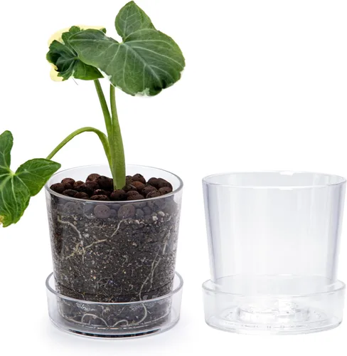 Miniatura 12 de Phoenix Vine Maceta de acrílico transparente de 3.5 pulgadas con bandeja, maceta de orquídeas con agujeros de drenaje, platillo profundo para riego
