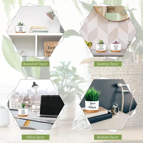 Miniatura 5 de Yaomiao 20 piezas de regalo de la semana de CNA, regalos de agradecimiento a los empleados, regalos de plantas suculentas a granel para mujeres