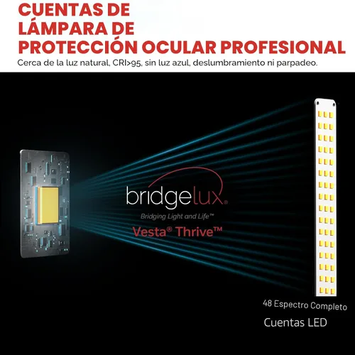 Miniatura 2 de Lámpara de escritorio Honeywell Sunturalux™ LED con puertos de carga USB HWT-H01 - Lámpara de escritorio para cuidar los ojos regulable sin pasos