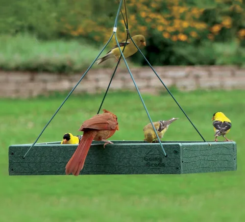 Miniatura 2 de Woodlink Comedero para pájaros con plataforma verde modelo GGPLAT