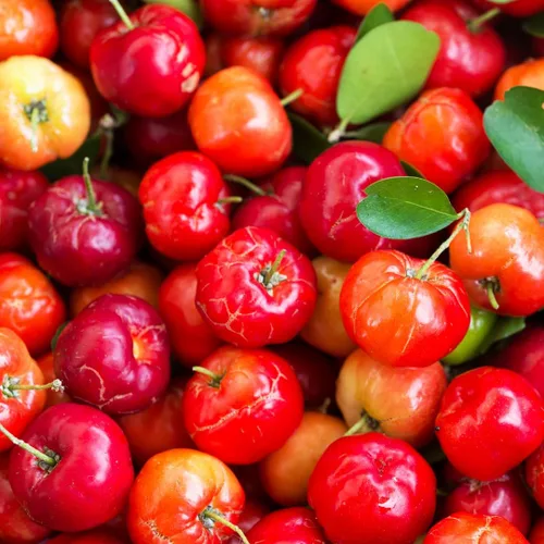 Miniatura 5 de Pure Original Ingredients Cereza de acerola, (100 cápsulas) siempre pura, sin aditivos ni rellenos