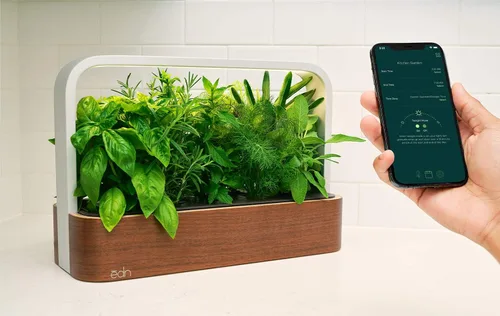 Miniatura 4 de edn SmallGarden Sage SeedPods - Paquete de 10