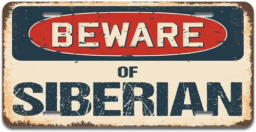 Miniatura 9 de SignMission Beware of Simmental Cattle - Placa de matrícula de aluminio de 12 x 6 pulgadas, se adapta a cualquier automóvil, camión, SUV, RV