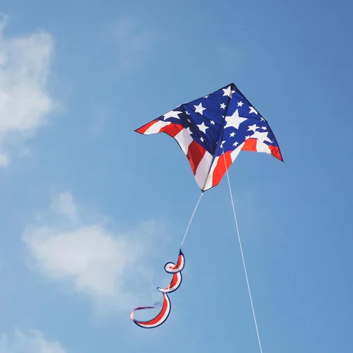 Miniatura 2 de In the Breeze Printed Delta Kites, Easy-Flying Single Line Kites for Kids & Adults Estrella Patriótica
