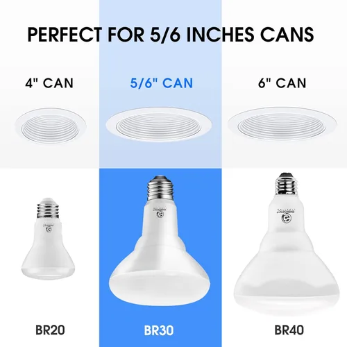 Miniatura 3 de Energetic - Paquete de 12 bombillas LED empotrables BR30 de 75 W, regulable, 900 lúmenes, luz diurna 5000 K, base E26, luz de inundación