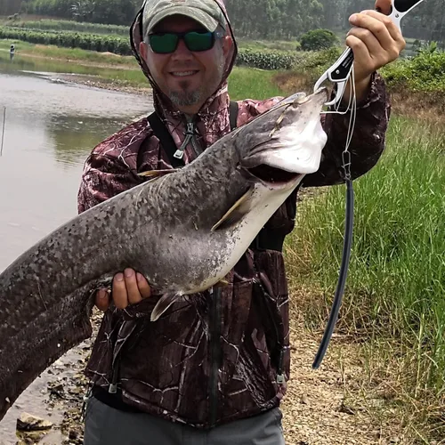 Miniatura 7 de Dr.Fish Paquete de 6 pesos de arrastre para pesca del gato, peso a la deriva de pesca de agua dulce, plomos de pesca en la parte inferior