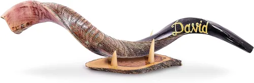 Miniatura 2 de Nombre personalizado, Shofar de cuerno Kudu prémium de Israel, juego medio pulido