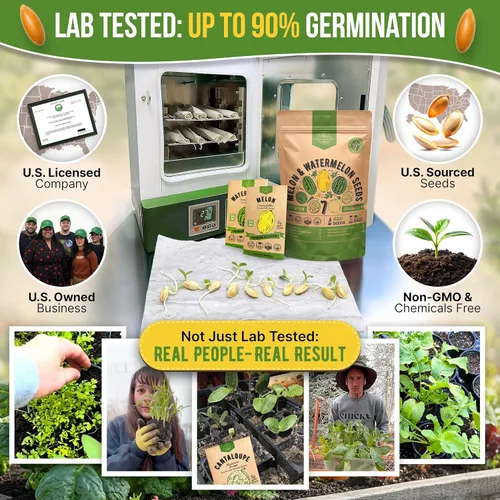 Miniatura 2 de Organo Republic Paquete variado de 7 semillas de melón y sandía, 480+ semillas de frutas reliquia sin OMG para plantar frutas en paquetes