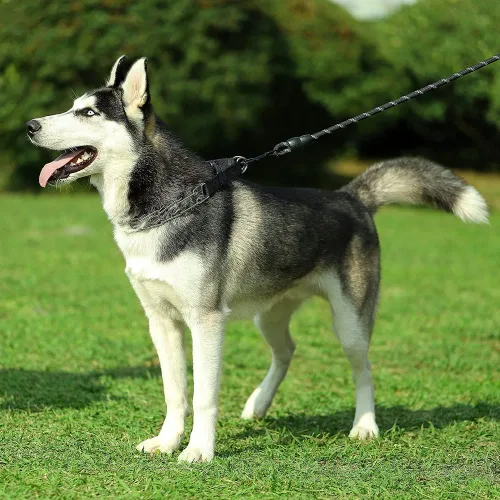 Miniatura 6 de Collar de punta para perro, collar de entrenamiento ajustable para perros con hebilla de liberación rápida para perros pequeños, medianos y grandes