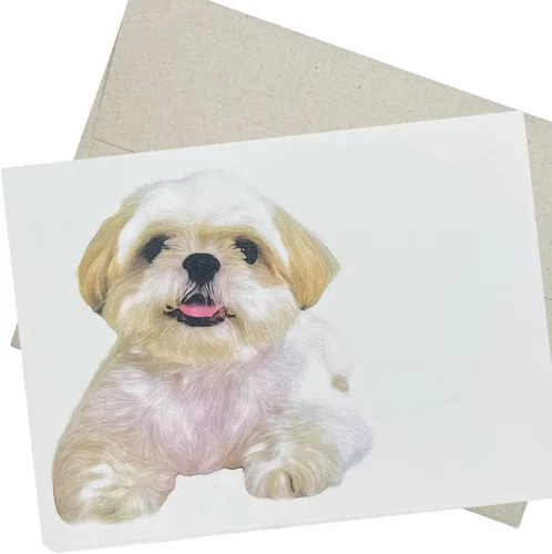 Groomers Margins Shih Tzu - Tarjeta de felicitación (5 x 7 pulgadas, 1 tarjeta, interior en blanco) para cumpleaños, mensajes de despedida, mejora