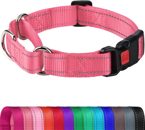 Miniatura 12 de Joytale - Collar martingale para perros, reflectante de alta resistencia para seguridad, hebilla de liberación rápida, collares ajustables de nailon