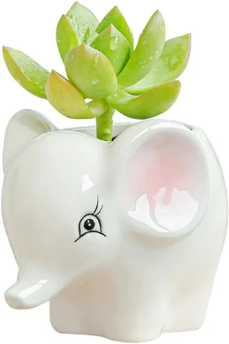 Miniatura 2 de DIYOMR Bonita maceta de cerámica de animales, maceta pequeña para suculentas, maceta con forma de dibujos animados para plantas pequeñas, cactus