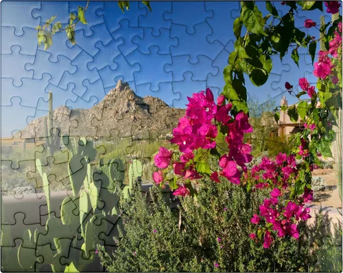 Miniatura 8 de MyPuzzle Bougainvillea with Pinnacle Peak, Scottsdale, Arizona, Estados Unidos, rompecabezas prémium de 500 piezas para adultos