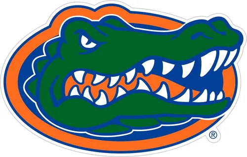 Miniatura 3 de NCAA, imán con logotipo, 8 pulgadas