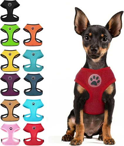 Miniatura 22 de BINGPET Arnés para perro sin tirones, arnés de chaleco tipo step-in de malla para todo clima para perros pequeños, arnés de malla transpirable