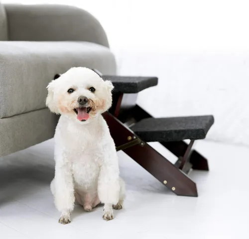 Miniatura 9 de MEWANG - Escaleras de madera para mascotas/escalones para mascotas, escaleras plegables 2 en 1 y rampa para camas y autos, escalera portátil