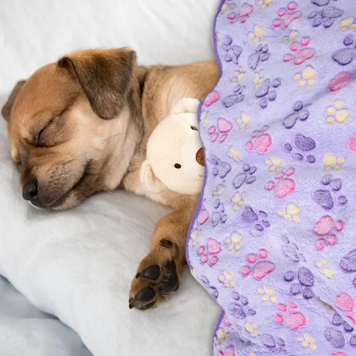 Miniatura 6 de Dono 1 paquete de 3 mantas para perros, manta de forro polar suave y esponjosa para mascotas, tapete cálido para dormir, diseño de huellas