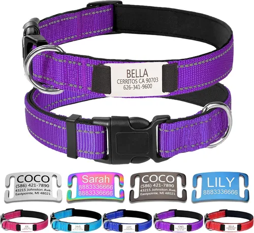 Miniatura 13 de Collares de perro personalizados, collar de perro con etiquetas de identificación de placa de nombre grabadas, collar de nailon ajustable Rosa