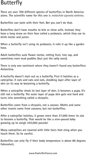 Miniatura 3 de Tarjetas flash de insectos con datos divertidos
