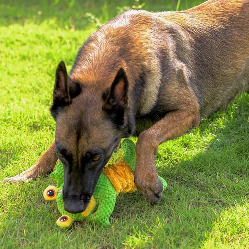 Miniatura 5 de Sedioso Juguete de tira y afloja para perros, juguete duradero para perros de raza grande, juguetes chirriantes para perros de tira y afloja
