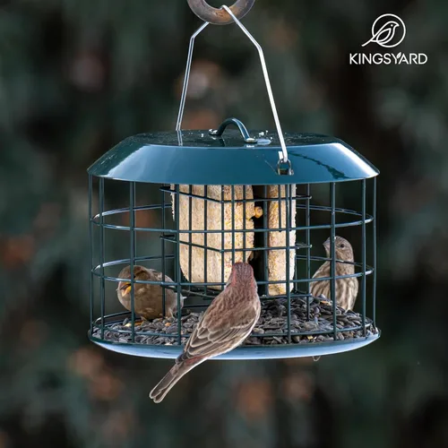 Miniatura 7 de Kingsyard Comedero de sebo a prueba de ardillas, comedero para pájaros en jaula para colgar al aire libre, todo de metal, capacidad de doble sebo