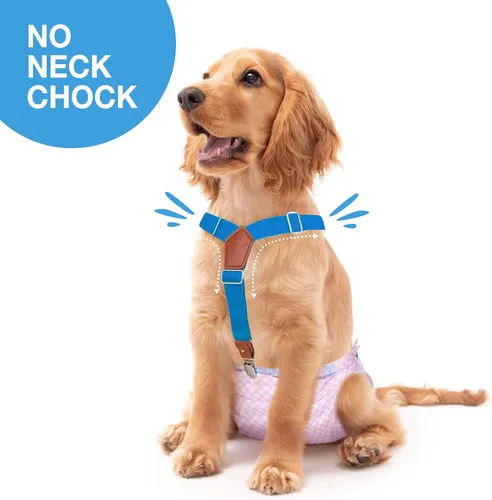 Miniatura 2 de Pet Soft Tirantes para Perros 2 Piezas Tirantes para Pañales de Perras Sujetador de Pañales Tirante para Falda de Perrito, Vestido, Pañales