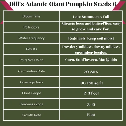 Miniatura 4 de 6 semillas de calabaza gigante Dill's Atlantic (paquete de 6) Cultiva calabazas enormes reliquia, sin OMG, alto rendimiento Perfecto