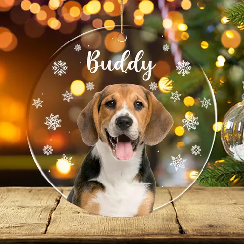 Miniatura 19 de FLOCHIL Adornos de Navidad Personalizados para Gatos Adornos de Navidad Personalizados con Foto y Nombre para Árboles de Navidad, Adornos de Navidad
