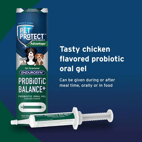 Miniatura 6 de Pet Protect Dog Probiotic Balance+ Gel oral, endurosina formulada por veterinarios, prebióticos y probióticos para perros, suministro para 3 días