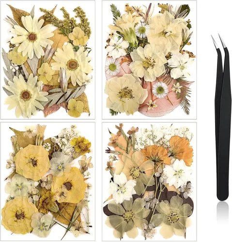 Miniatura 21 de Nuanchu Flores secas prensadas negras para manualidades, flores secas góticas, flores silvestres prensadas naturales a granel con pinzas para molde
