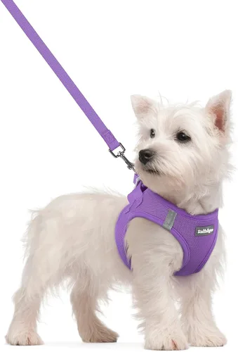 Miniatura 111 de rabbitgoo Juego de arnés para perro de tamaño pequeño y correa, chaleco ligero suave para cachorro, arnés de malla transpirable para mascotas