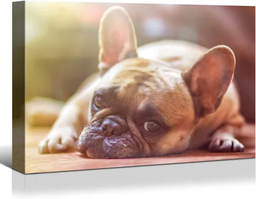 Miniatura 21 de Looife Impresiones en lienzo personalizadas de 40 x 20 pulgadas con tu foto, arte de pared personalizado con tu foto sobre lienzo