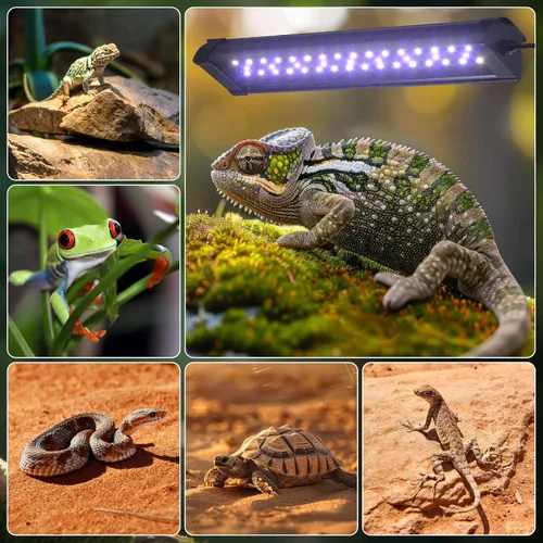 Miniatura 7 de GlowUp Luz LED UVB de 12 pulgadas de atenuación de 10 W para reptiles, UVB 20.0/10.0/5.0/luz morada, 3 modos de luz, temporizador, lámpara de reptil